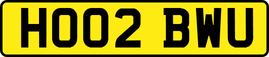 HO02BWU