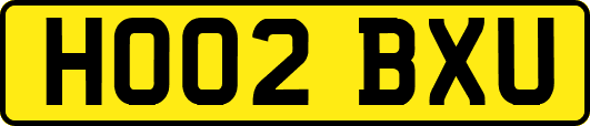 HO02BXU