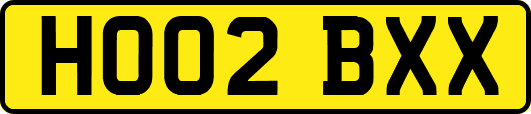 HO02BXX