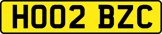 HO02BZC