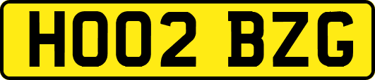 HO02BZG