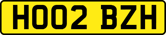 HO02BZH