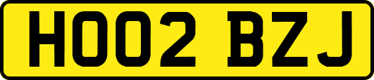 HO02BZJ