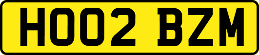 HO02BZM