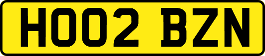 HO02BZN