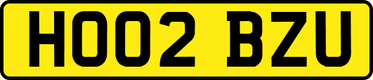 HO02BZU