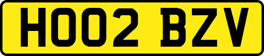 HO02BZV