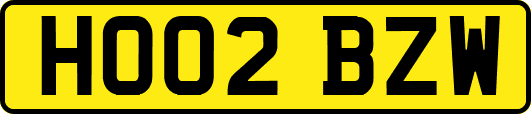 HO02BZW