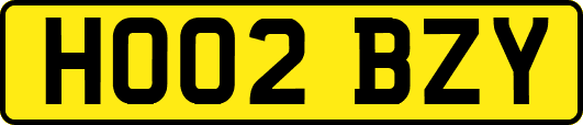 HO02BZY