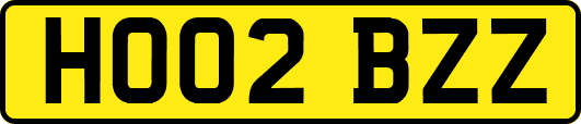 HO02BZZ