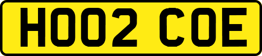 HO02COE
