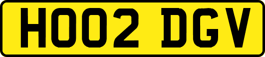 HO02DGV