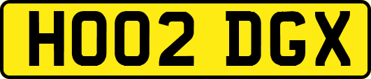 HO02DGX