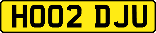 HO02DJU