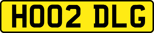 HO02DLG