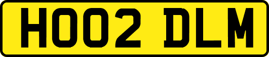 HO02DLM