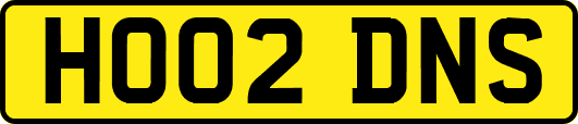 HO02DNS