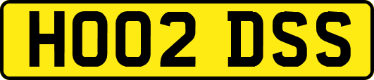HO02DSS