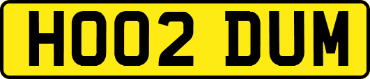 HO02DUM