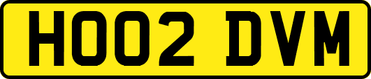 HO02DVM