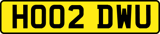HO02DWU