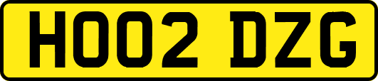 HO02DZG
