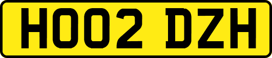 HO02DZH