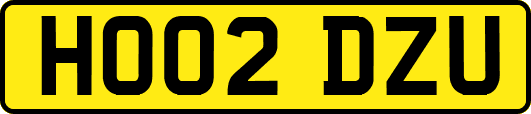 HO02DZU