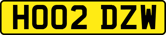 HO02DZW