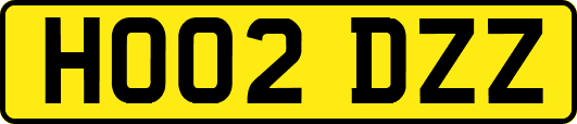 HO02DZZ