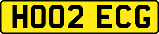 HO02ECG