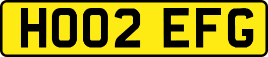 HO02EFG