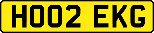 HO02EKG