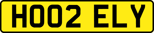 HO02ELY
