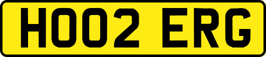 HO02ERG