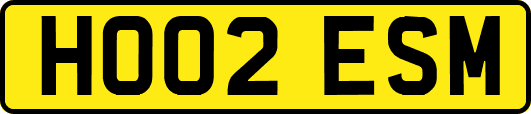 HO02ESM