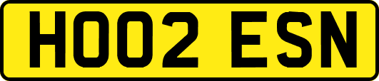 HO02ESN
