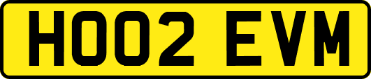 HO02EVM
