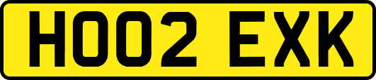 HO02EXK