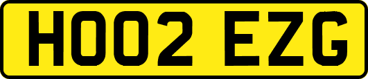 HO02EZG