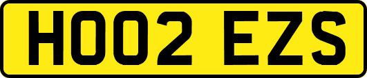 HO02EZS