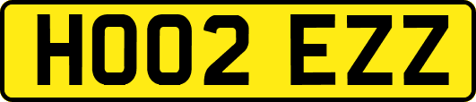 HO02EZZ