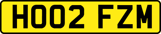 HO02FZM