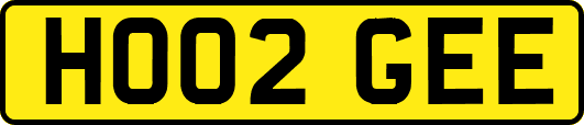 HO02GEE