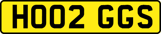 HO02GGS