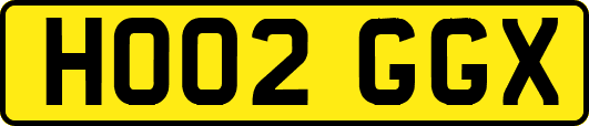 HO02GGX