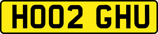 HO02GHU