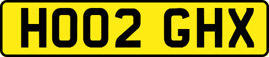 HO02GHX