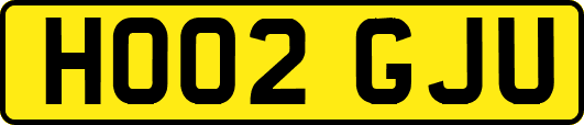 HO02GJU