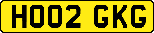 HO02GKG